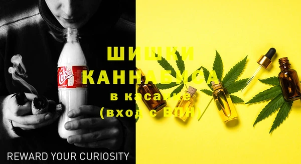 прущие грибы Балахна