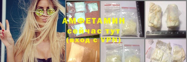 прущие грибы Балахна