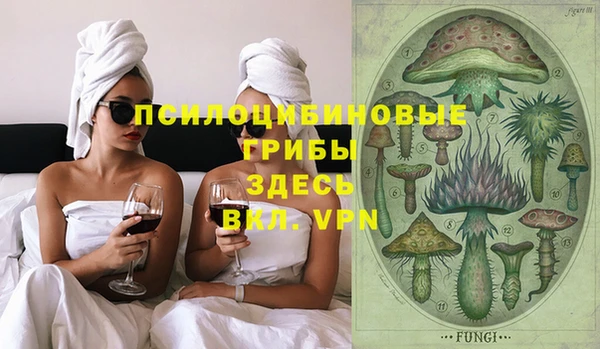 прущие грибы Балахна