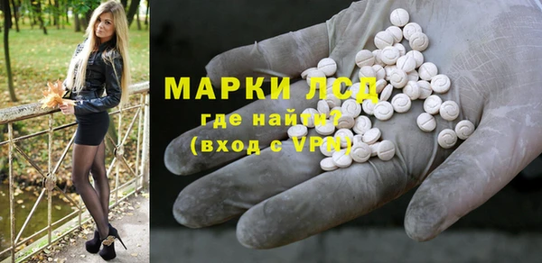 прущие грибы Балахна