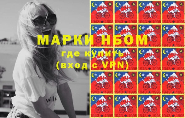 прущие грибы Балахна