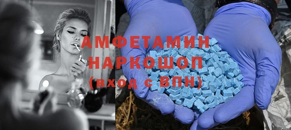 прущие грибы Балахна