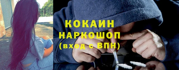 прущие грибы Балахна